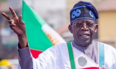 Benue APC Clears Tinubu For Re-election 0