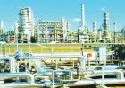 Probe PENGASSAN Over Attempt To Shut Down Dangote Refinery- Consumer Forum Urges FG, DSS