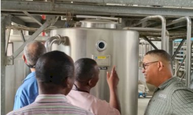 Benue Orange Farmers To Smile Soon - BIPC