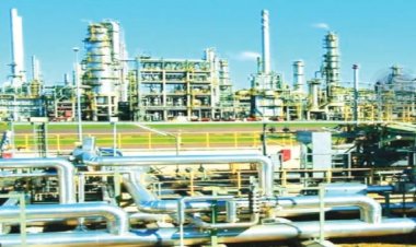 Probe PENGASSAN Over Attempt To Shut Down Dangote Refinery- Consumer Forum Urges FG, DSS
