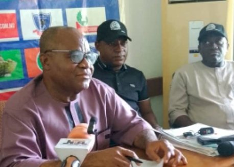 Internal And External Attacks Downed Lobi Stars - Club's Chief