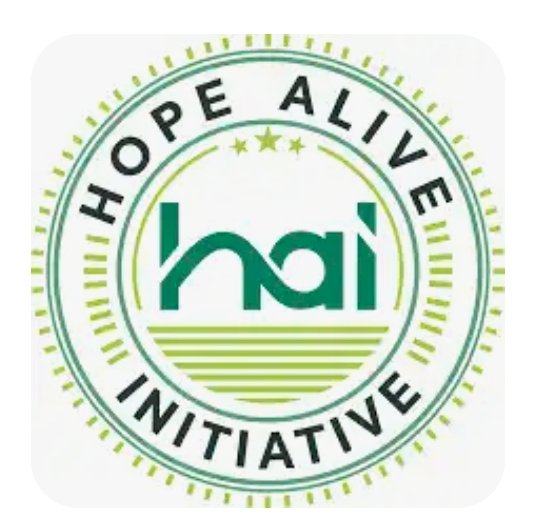 Nigeria Needs Collaboration, Not Confrontation, Hope Alive Initiative tells US
